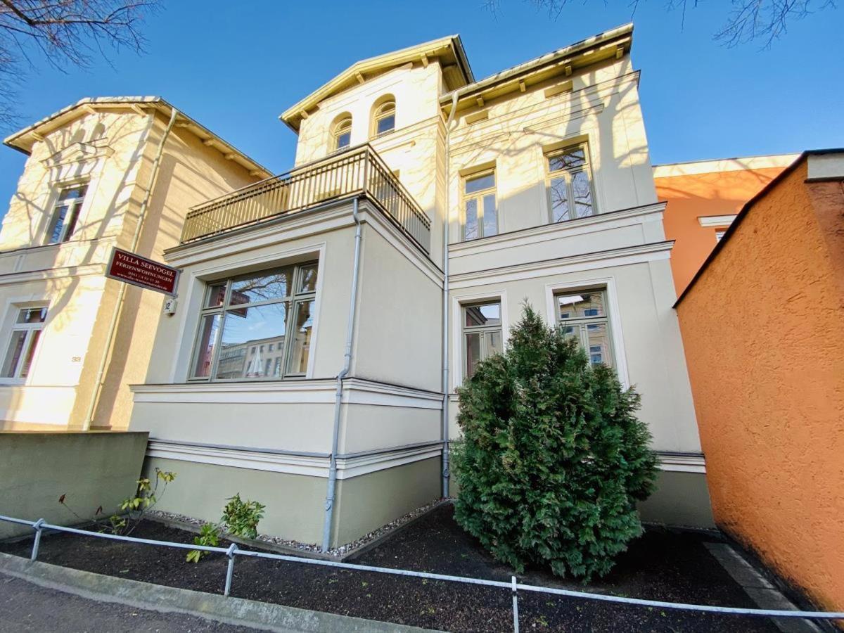 Seevogel/kormoran * Rostock